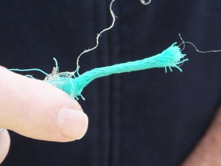 m 20140914 LitterPick 12