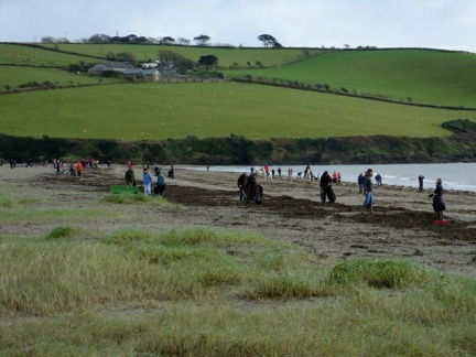 m 20170108 BeachClean 007