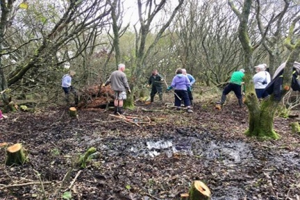 m IMG 20171029 121017