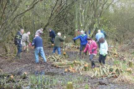 m IMG 20171029 105407