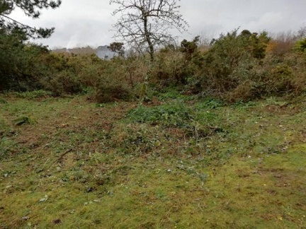 m IMG 20191124 124447