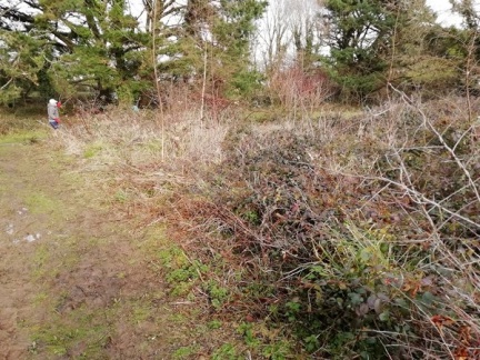 m IMG 20190207 115752