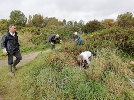 m IMG 20190922 105530